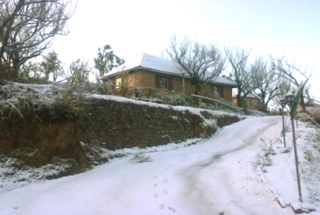 Oyo 43476 Vatika Resort Shimla Ngoại thất bức ảnh